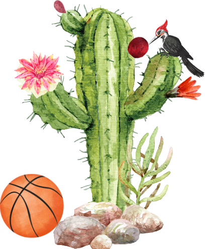 52ª Feria de la Pitaya